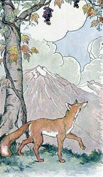 Illustration of a fox sitting beneath a grapevine, looking up at bunches of grapes hanging out of reach.