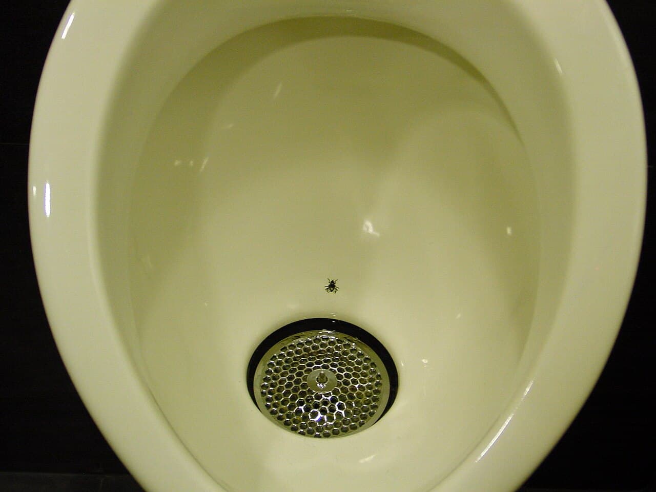 A white urinal with a small image of a fly printed just above the drain.