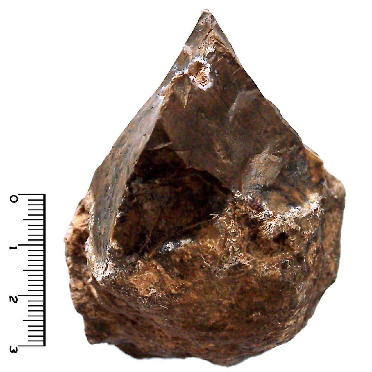 An Oldowan stone chopping tool with a flaked sharp edge