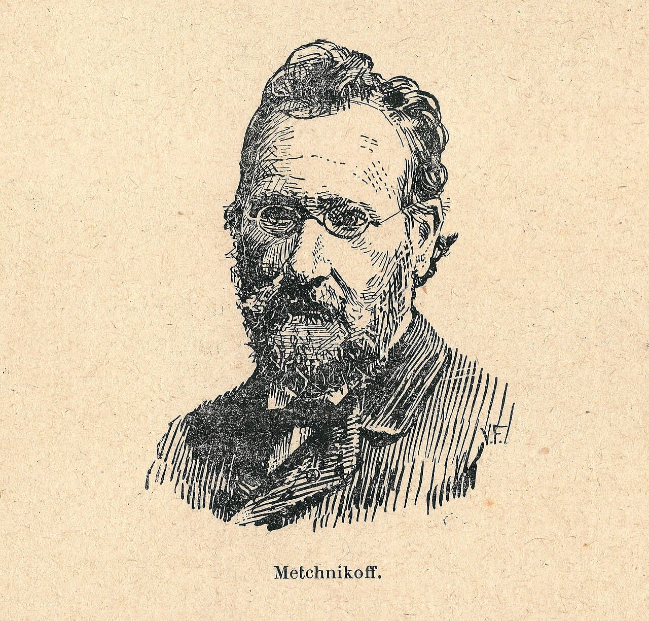 Black and white photographic portrait of Élie Metchnikoff, a man with a beard, taken in 1905.