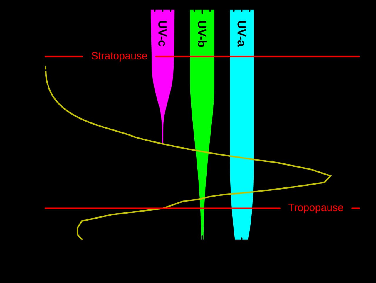 Graph showing ozone concentration by altitude and how far UV-a, UV-b, and UV-c radiation penetrate the atmosphere.
