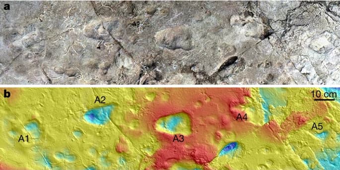 Fossilized hominin footprints preserved in volcanic ash at Laetoli, Tanzania