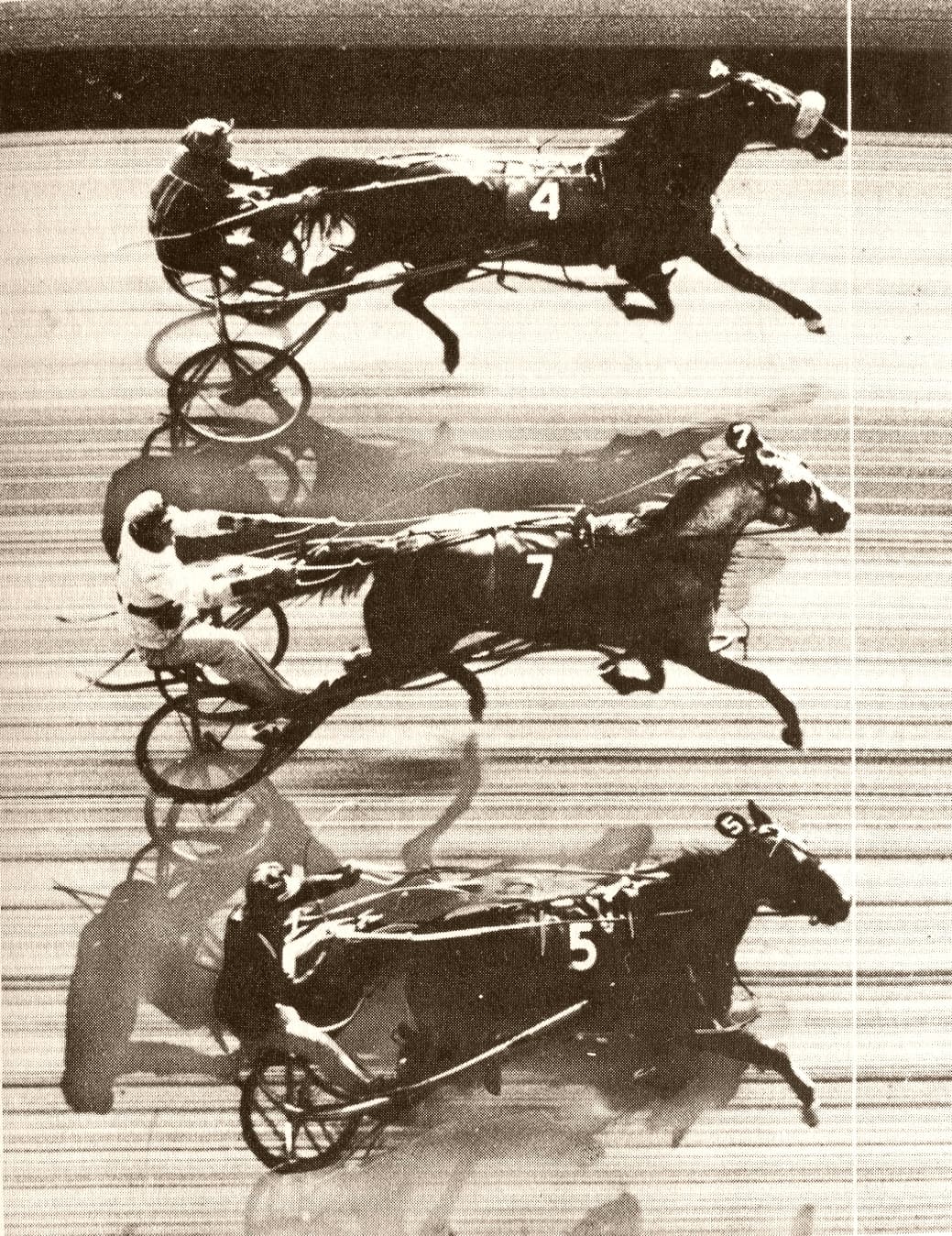 A photo-finish picture of three harness-racing horses crossing the line together at Freehold Raceway in the United States.