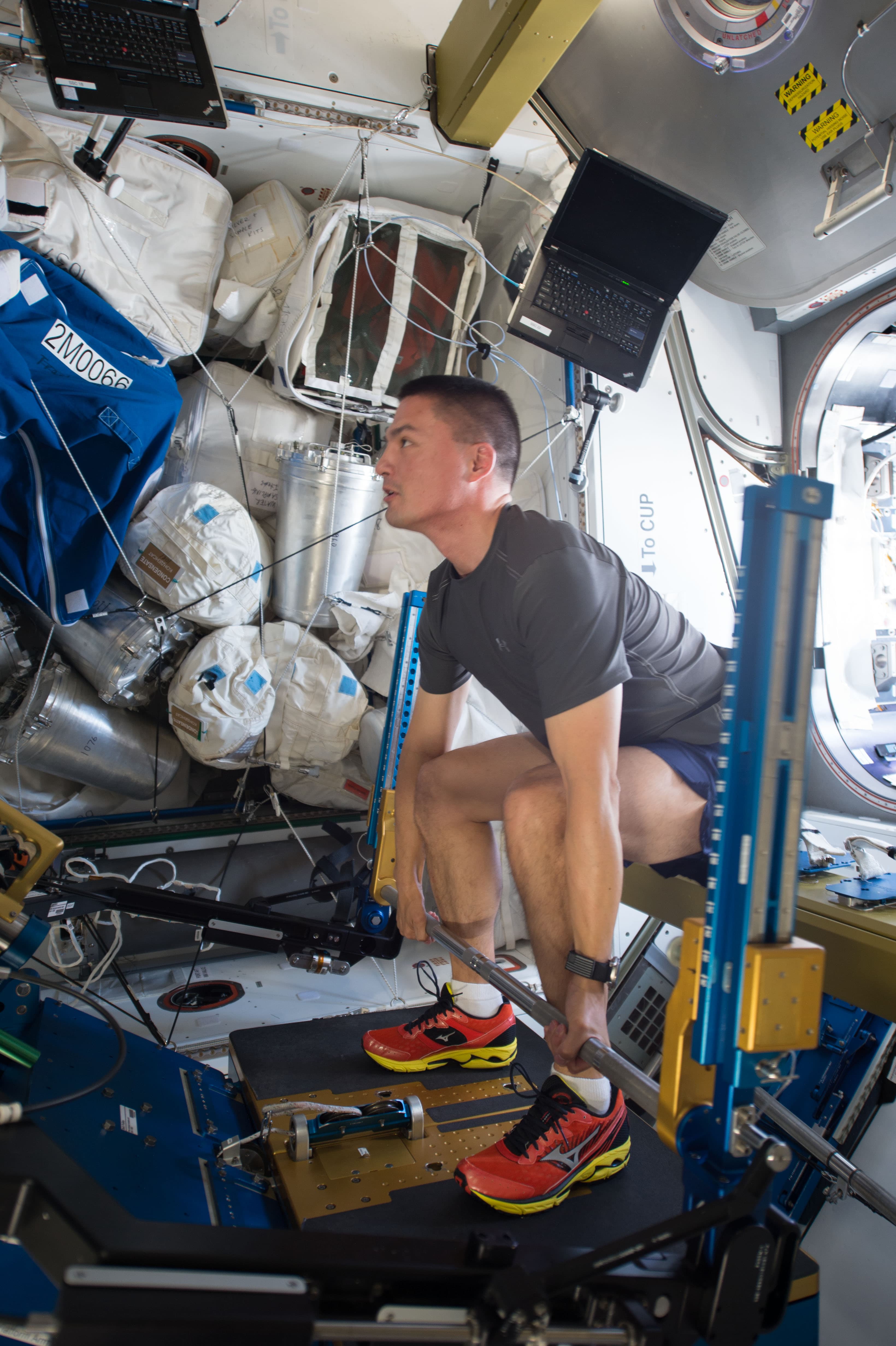 An astronaut aboard the International Space Station exercises on the Advanced Resistive Exercise Device, strapped in with cables and bars.