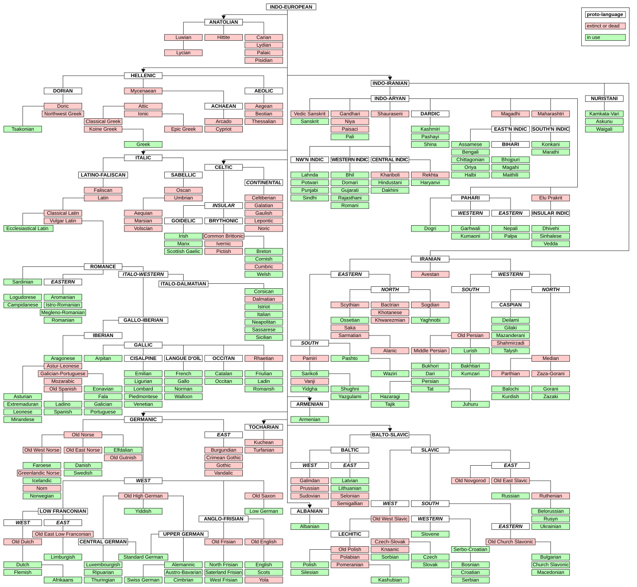 A branching family-tree diagram with Proto-Indo-European at the root and branches such as Germanic, Italic, Celtic, Hellenic, Indo-Iranian and Balto-Slavic leading to individual languages.