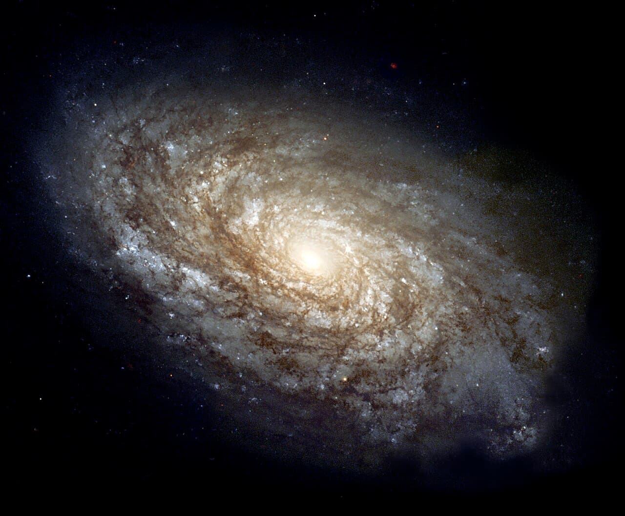 Hubble Space Telescope image of the spiral galaxy NGC 4414, showing its bright core and spiral arms dotted with stars.