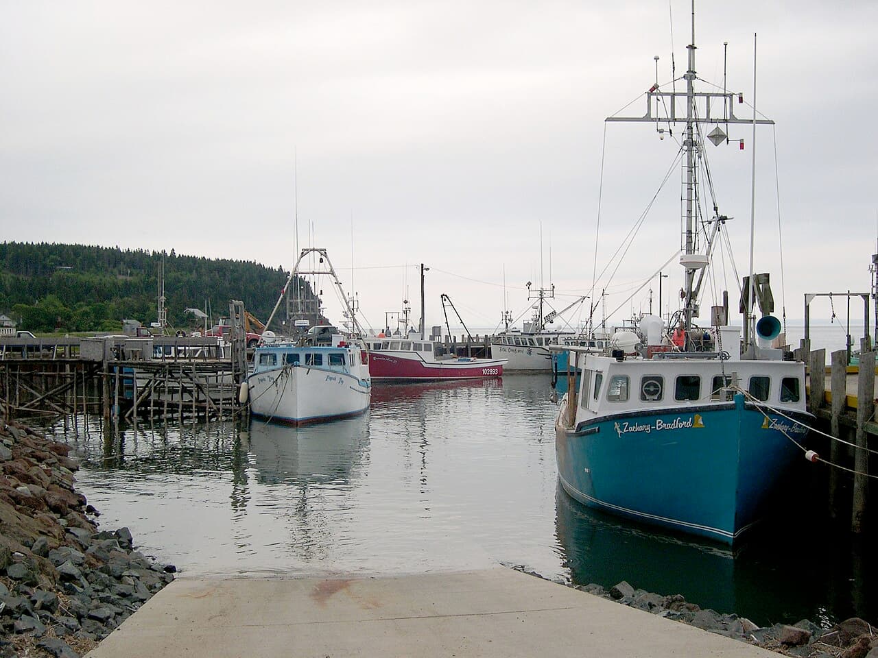 Water filling the Bay of Fundy at high tide, covering areas of shoreline that are exposed at low tide.